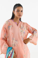 Stitched Embroidered Muzlin Suit