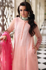 3-PC  Embroidered Cotton Net CMA-5-235