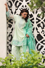3-PC  Embroidered Cotton Net CMA-5-234