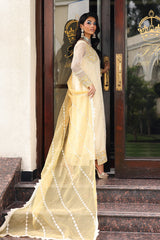 3-PC  Embroidered Cotton Net CMA-5-240
