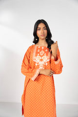 RTW | SHIRT & DUPATTA