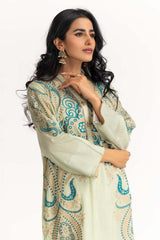 Dyed Cotton Silk Screen Printed Kurti