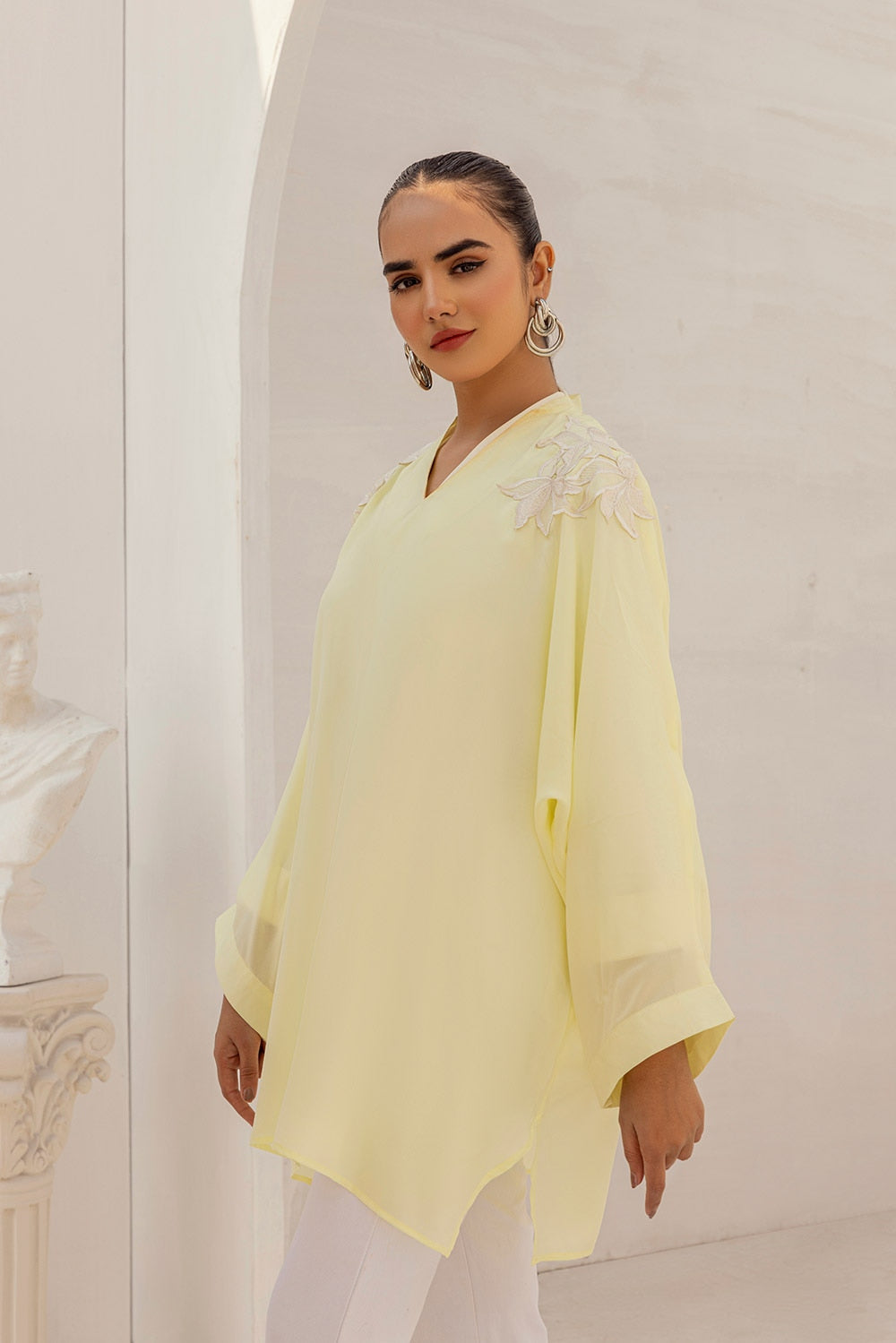 Dyed Georgette Embroidered Top