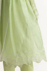 Munaar Lurex Embroidered Dupatta