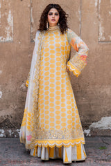 3-PC Stitched Embroidered Chiffon Collection VSLW6-10P